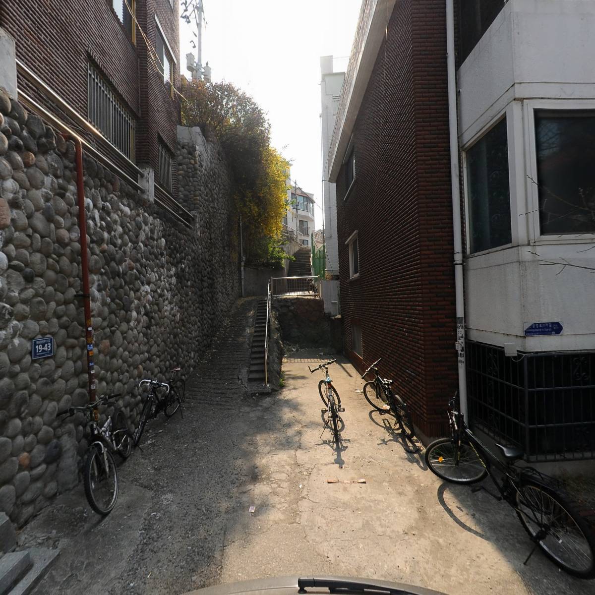 우드라이크_2
