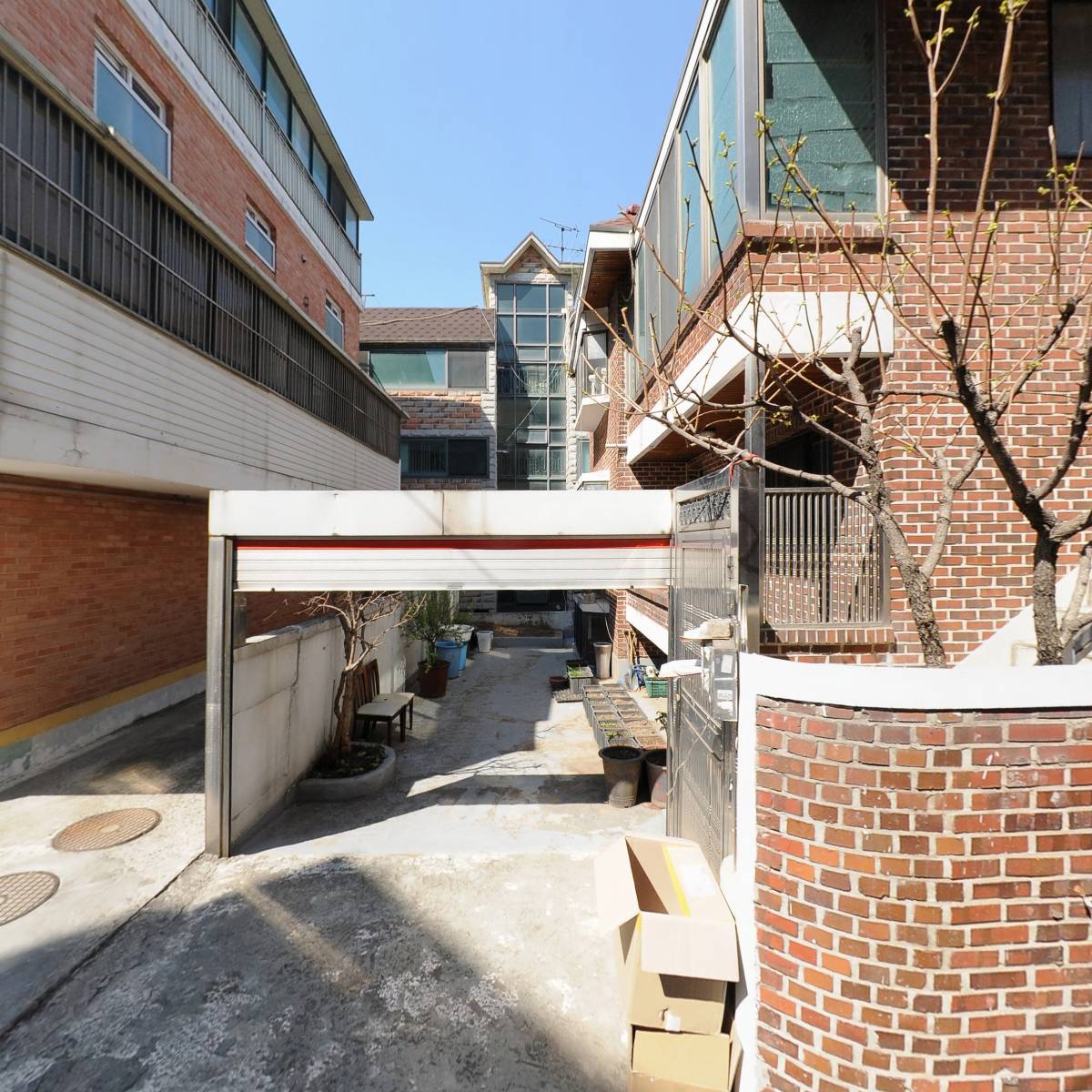 럭스엘리