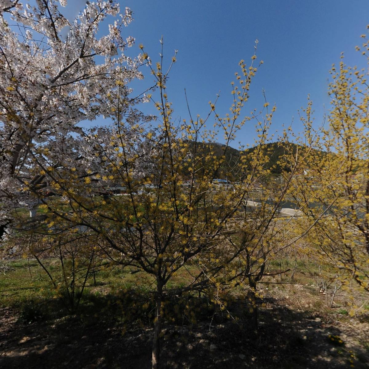 하나로건설.조경_3