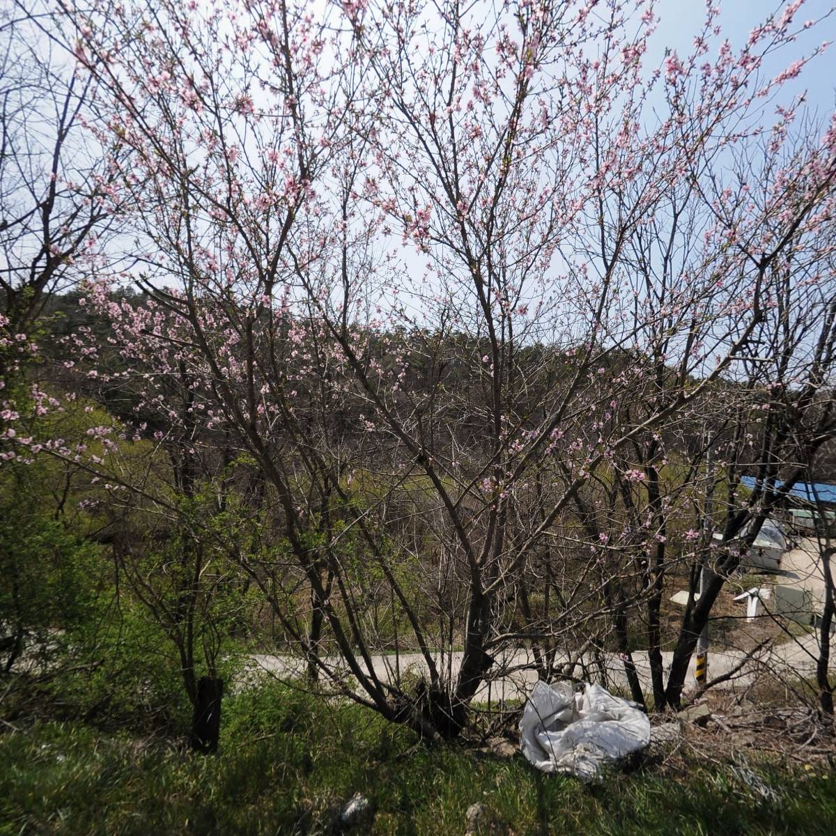 (주)그린환경연합119_3