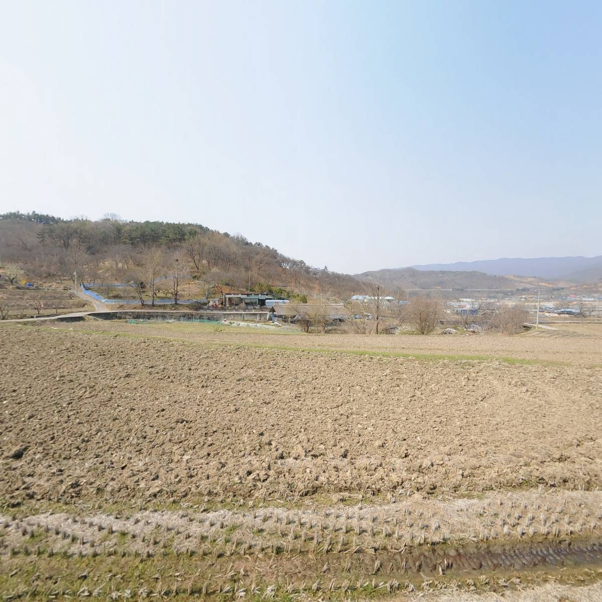 공주 정안밤 직거래농가(버들네)