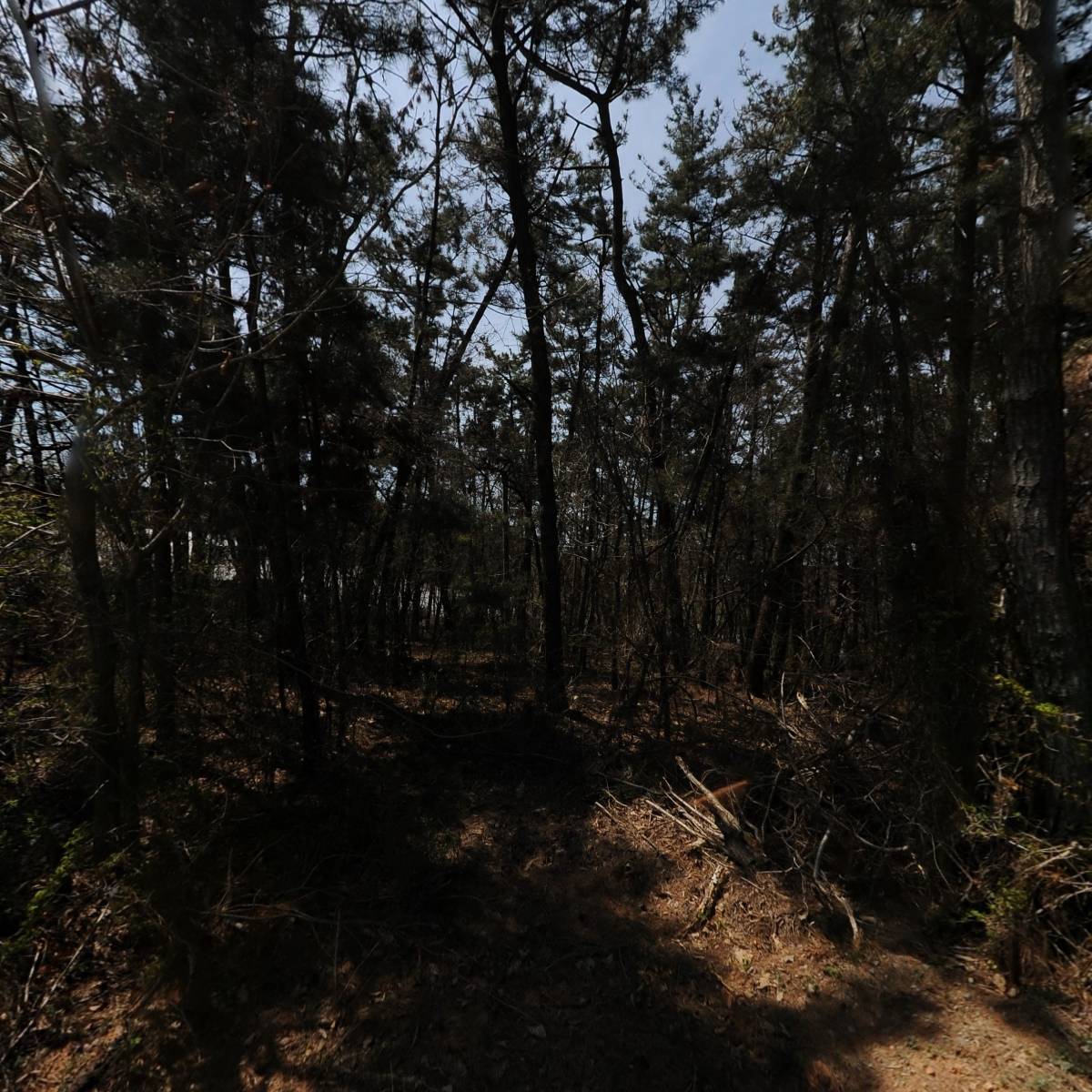 송순갑 생강한과_3