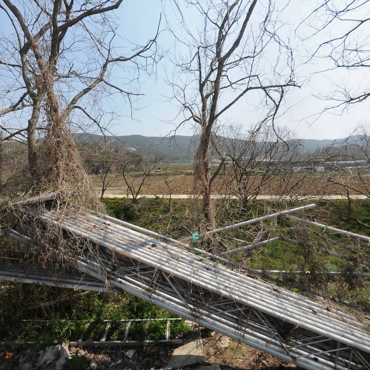 용샘농장_3