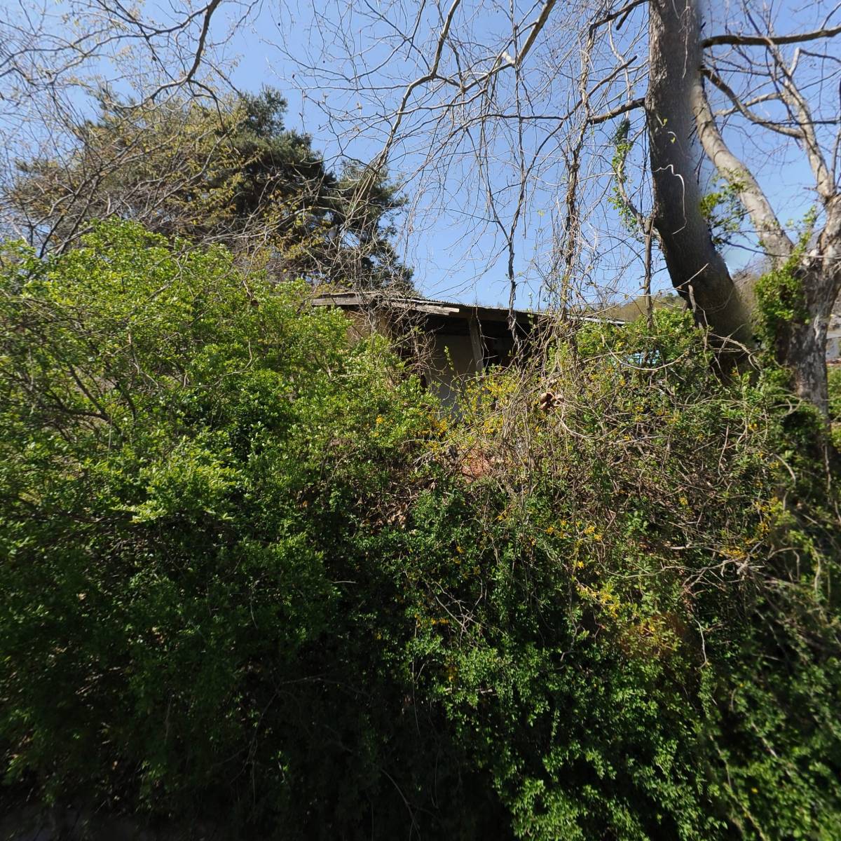 학교법인 조선대학교