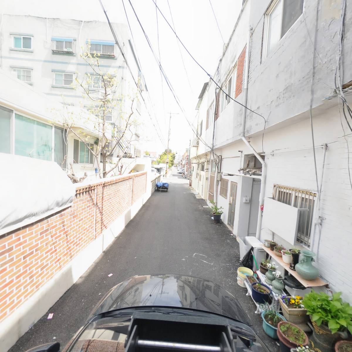 롯데칠성음료 청라점_4