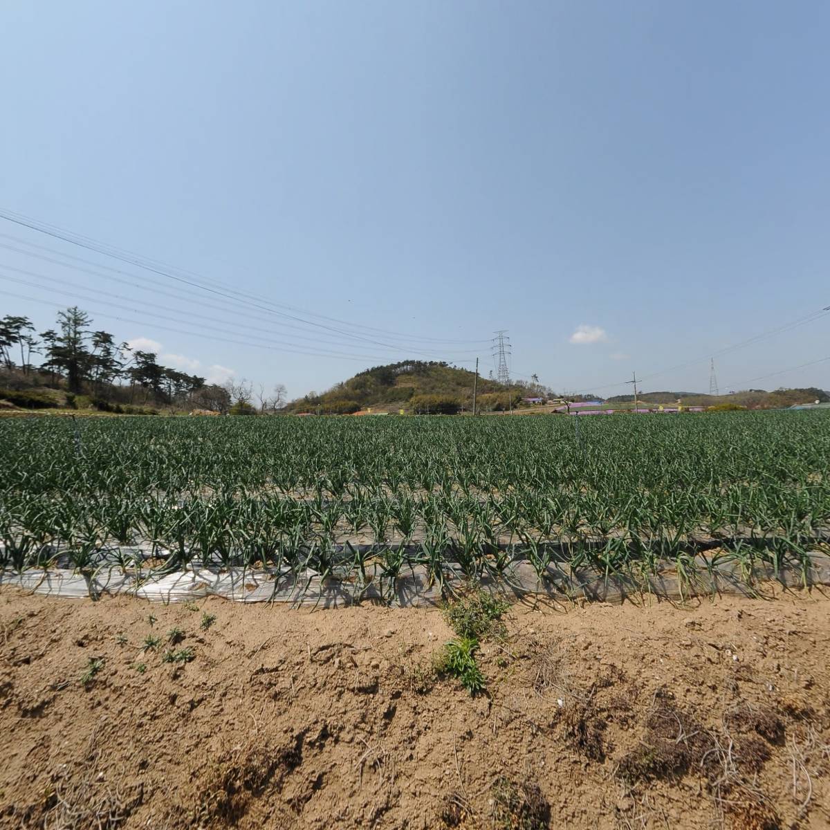 충남 전기차 충전소