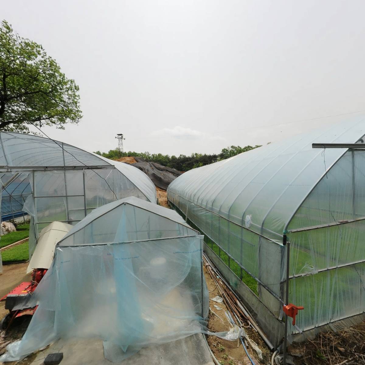 곡산연씨22대손용자집자호조참판문종