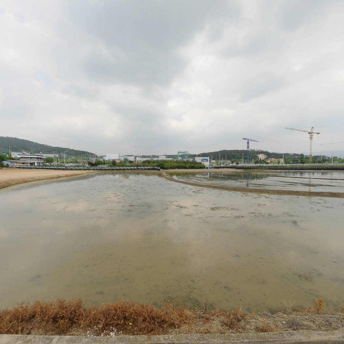 CU증평행복점