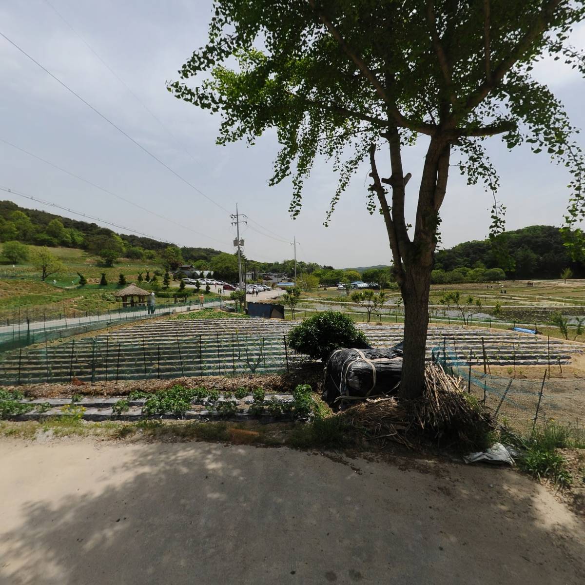 상당산성한옥마을 대동계_3