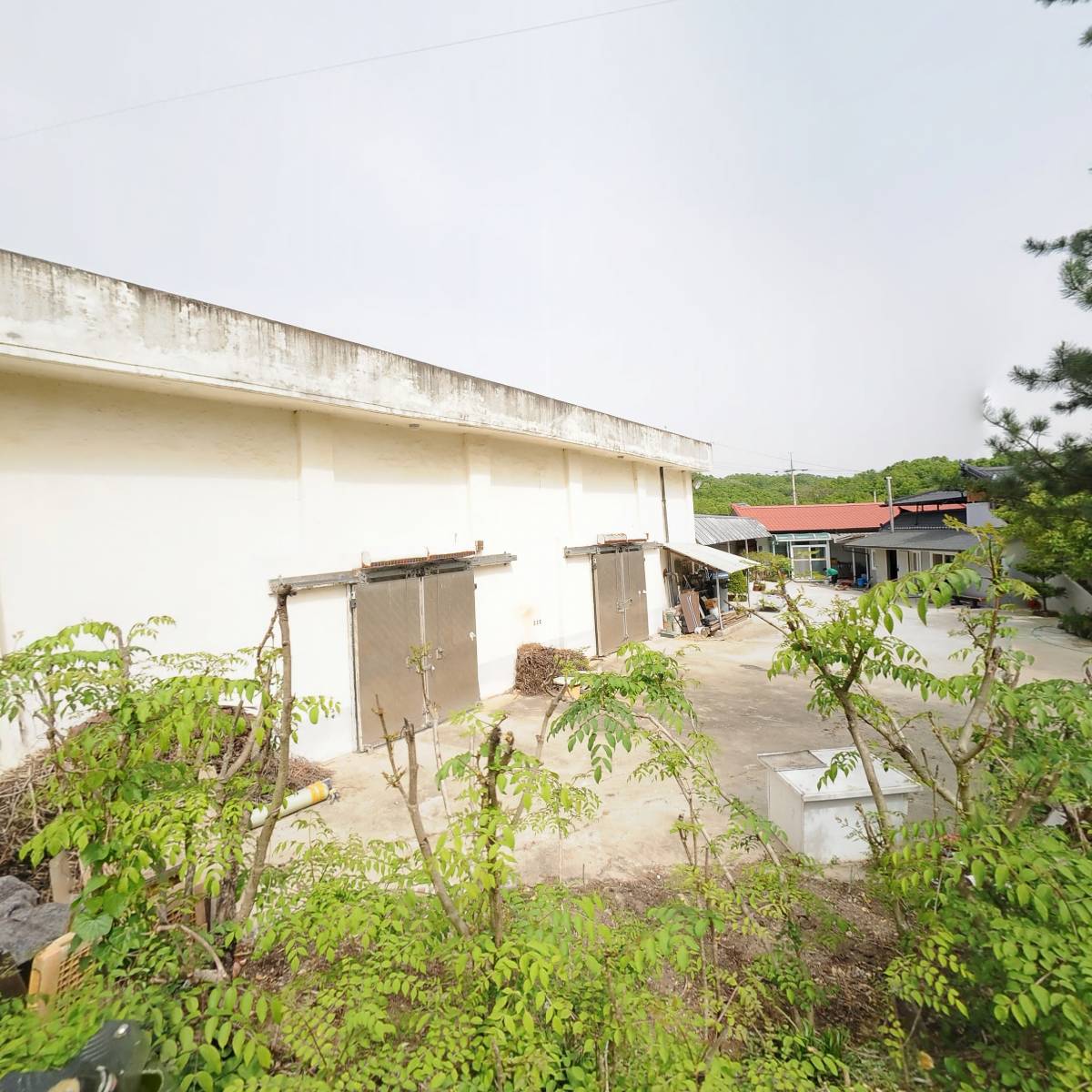 경주이씨 충무공파종회