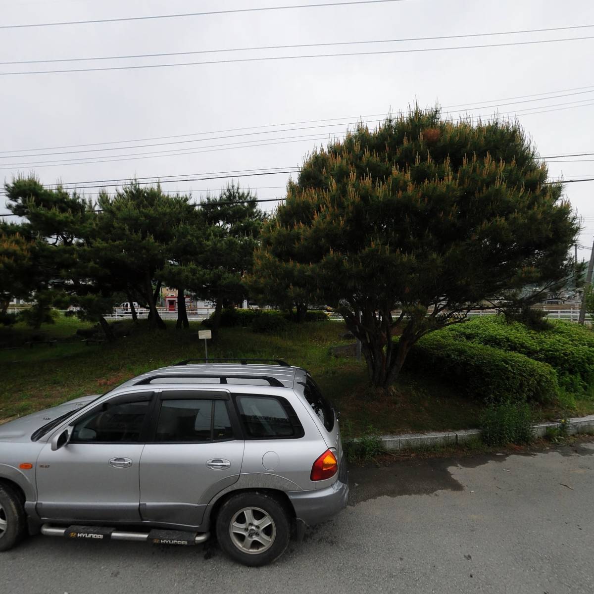 송이슈퍼