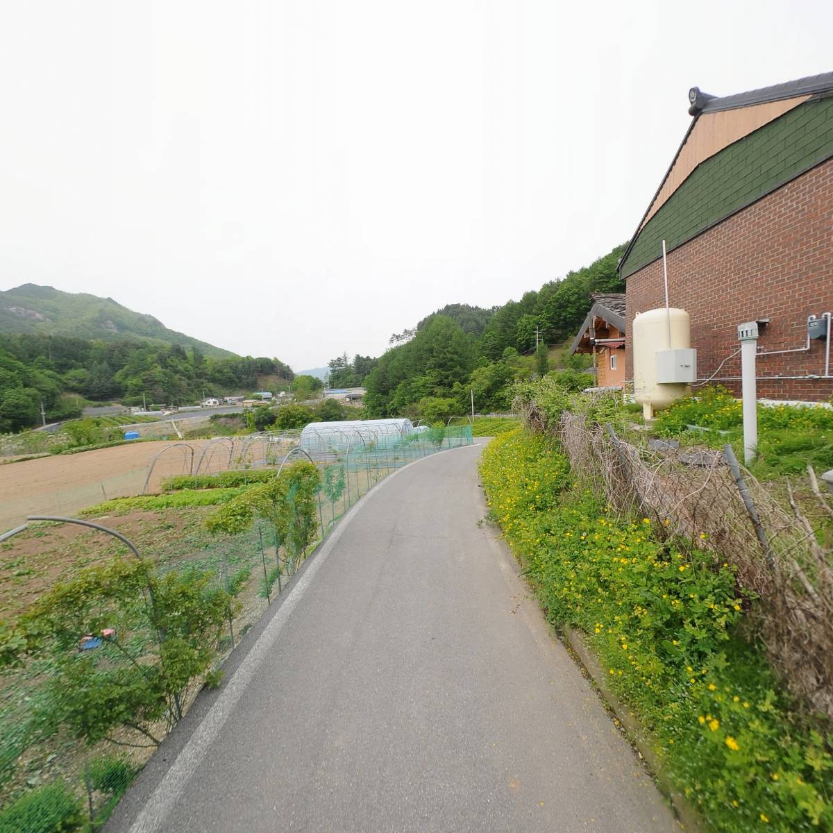 영농조합법인 올산민들레_2