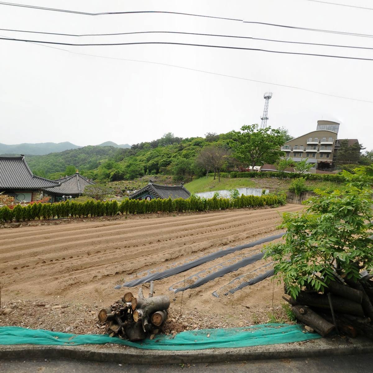 세계불교육조 조계종 흥천사