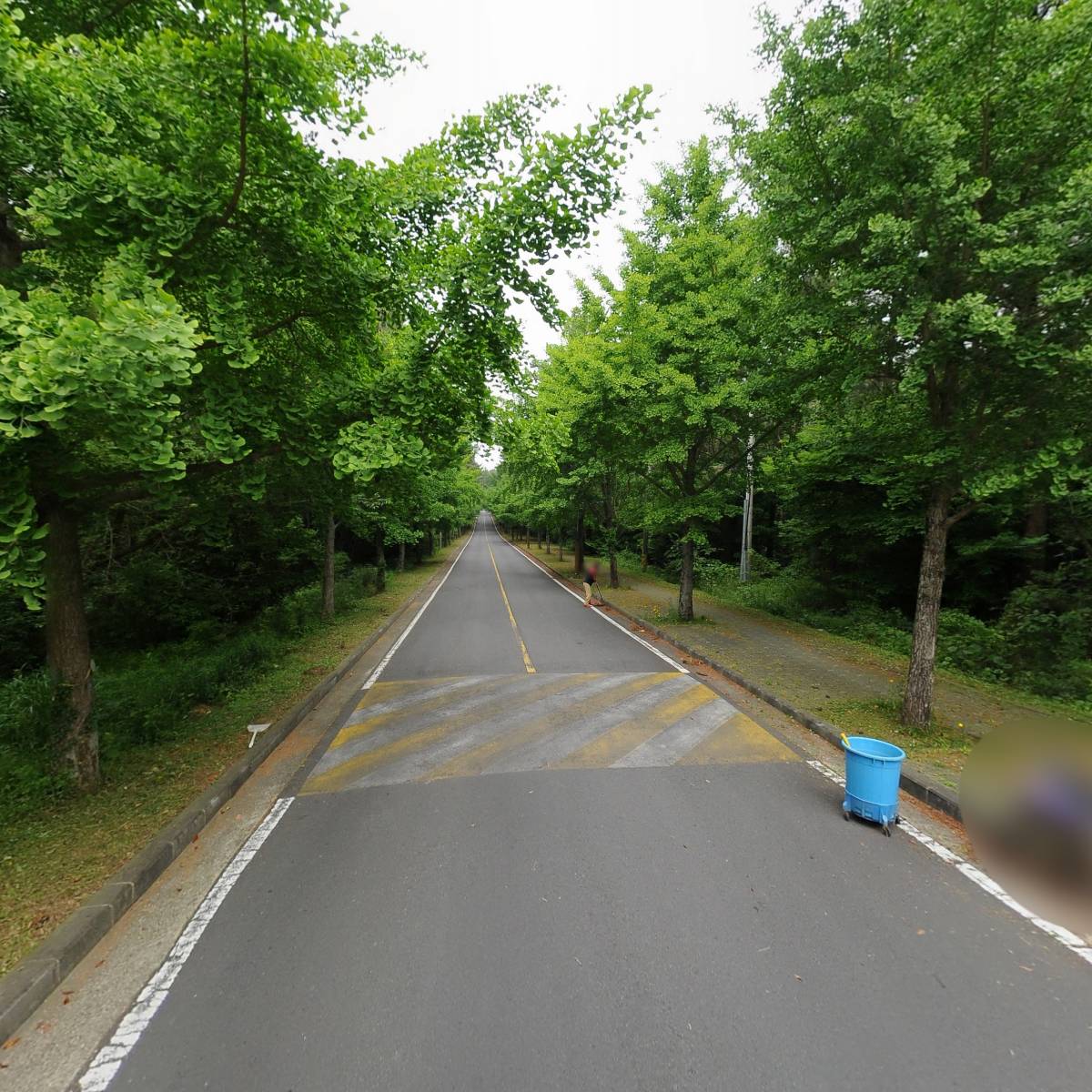 사단법인 제주바이오기업협회_2