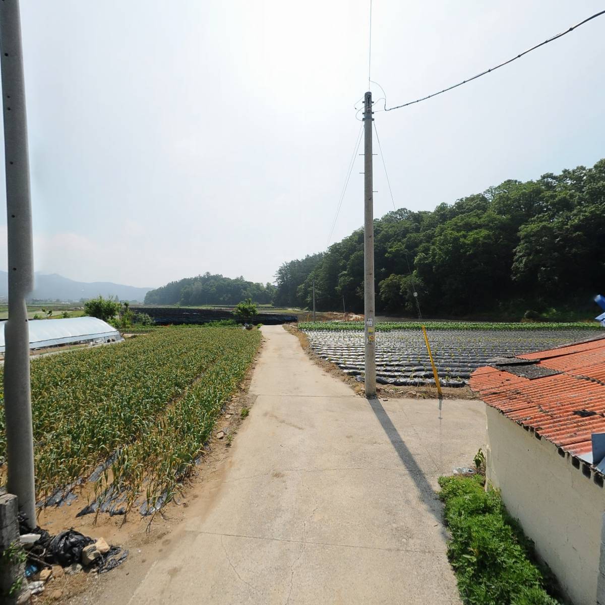 창녕성씨 창산군파종중_2