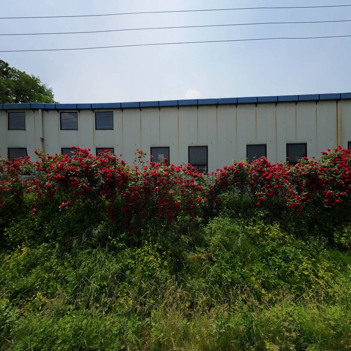 (주)휴먼네이처