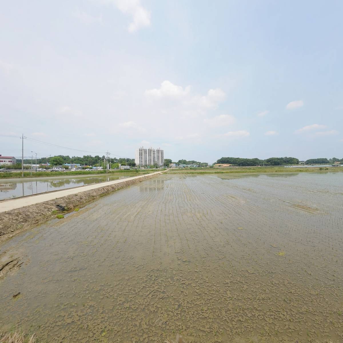 농업회사법인서울씨드(주)