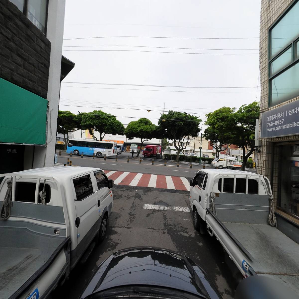 굿독애견미용클럽_4