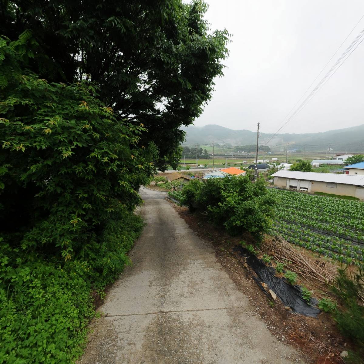 한국불교태고종 보학사_2