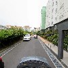 한수풀느타리_4