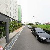 한수풀느타리_2