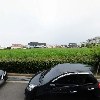 한수풀느타리_3