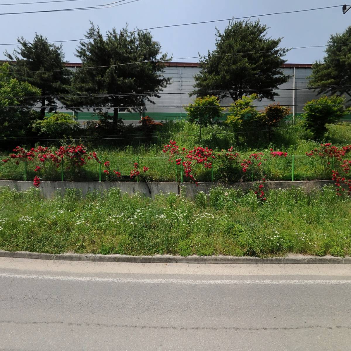 주식회사 디엔이_3