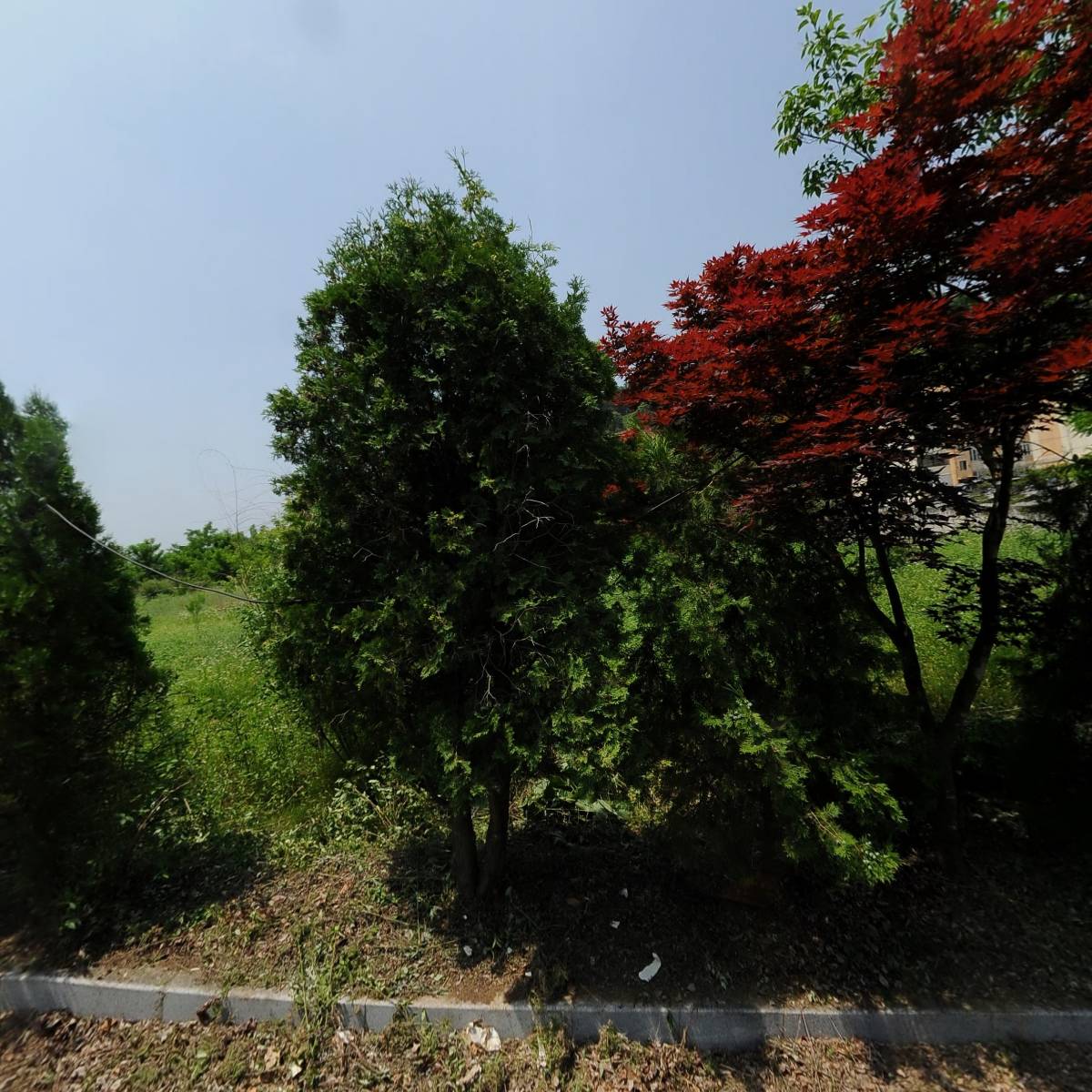 사단법인괴산군지역활성화협의회