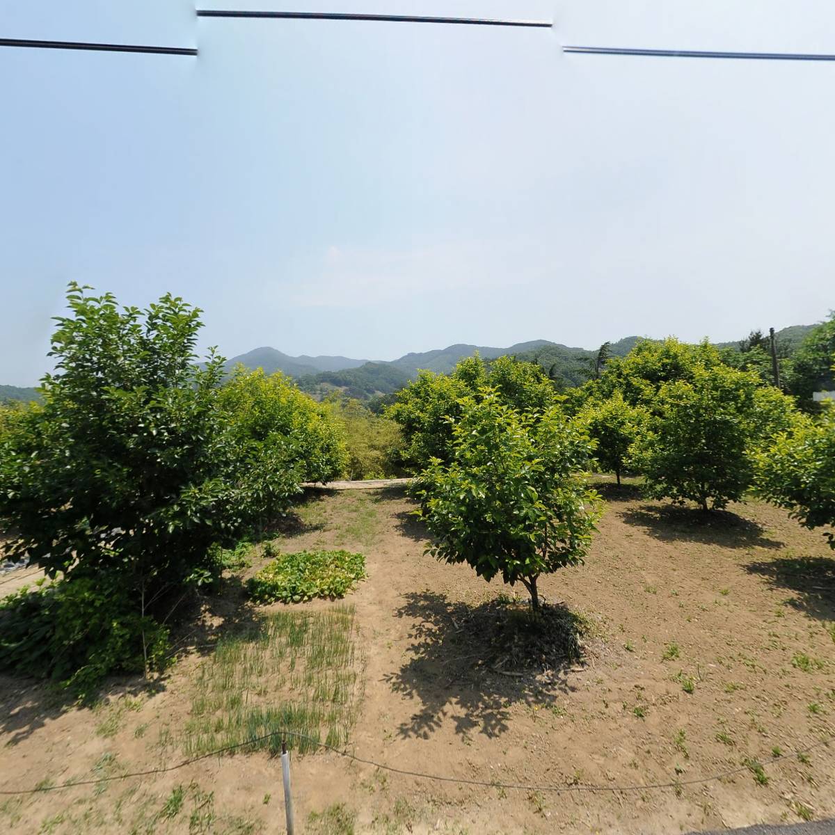 남보은농협회남지점_3