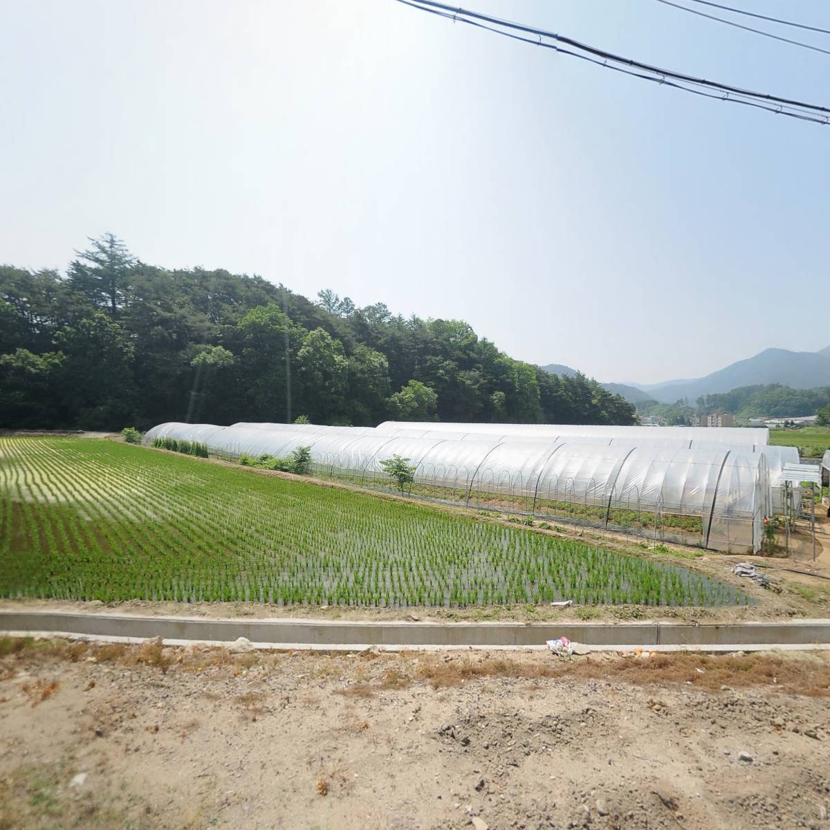농업회사법인주식회사동명내츄럴