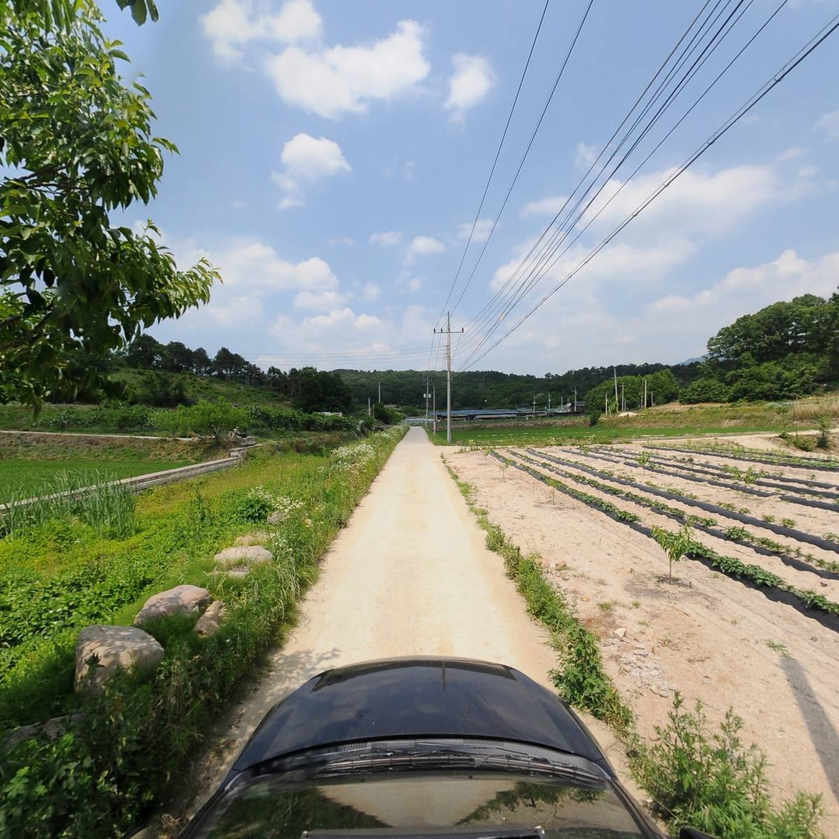 용산조경관리_4