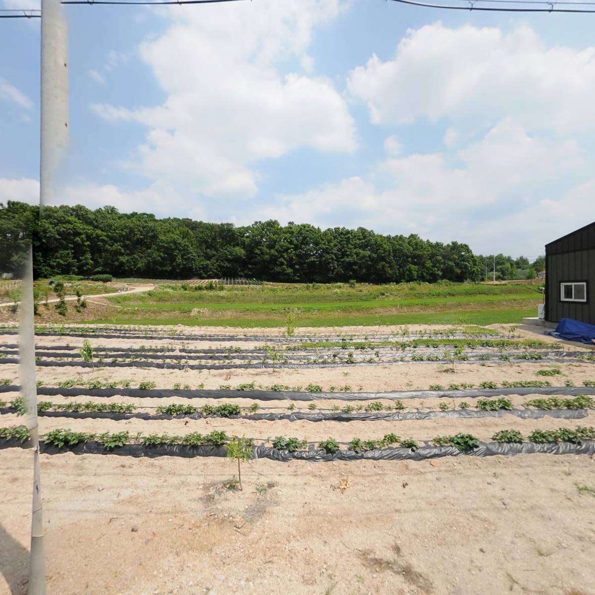 용산조경관리