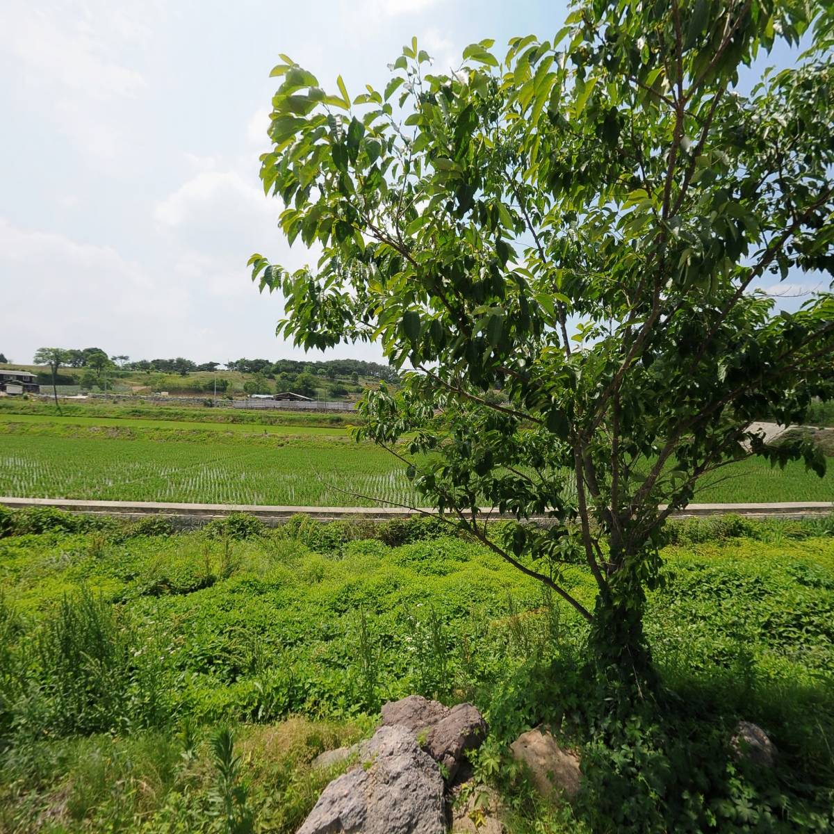용산조경관리_3