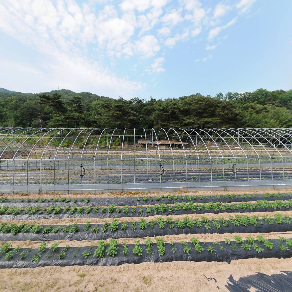 제천삼보수소충전소_3