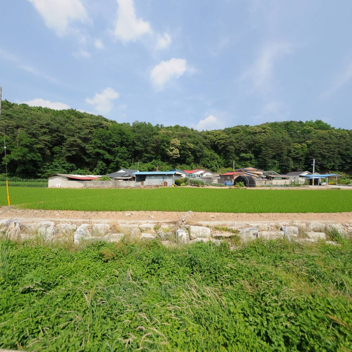 고모동회