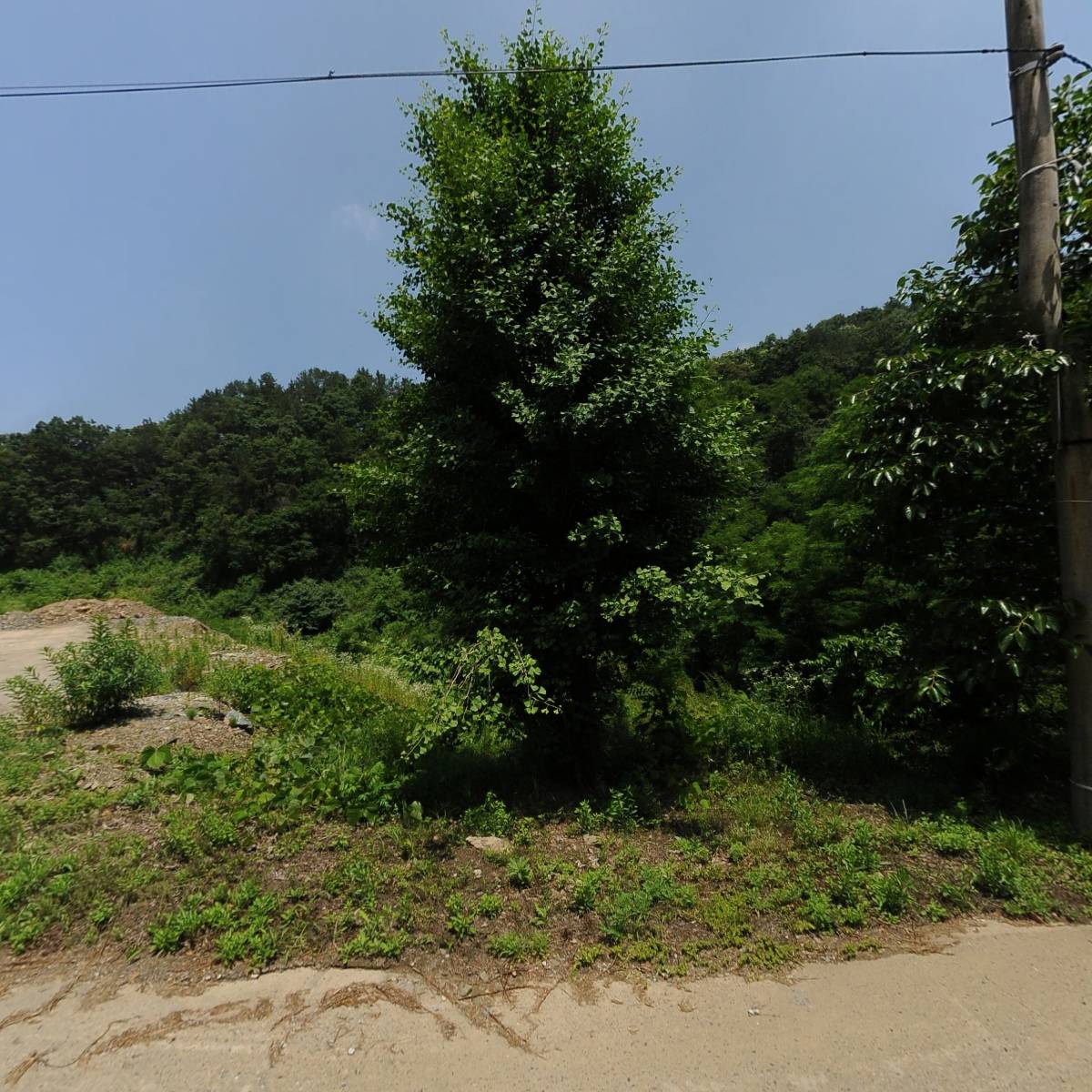 한국불교여래종 대약사사
