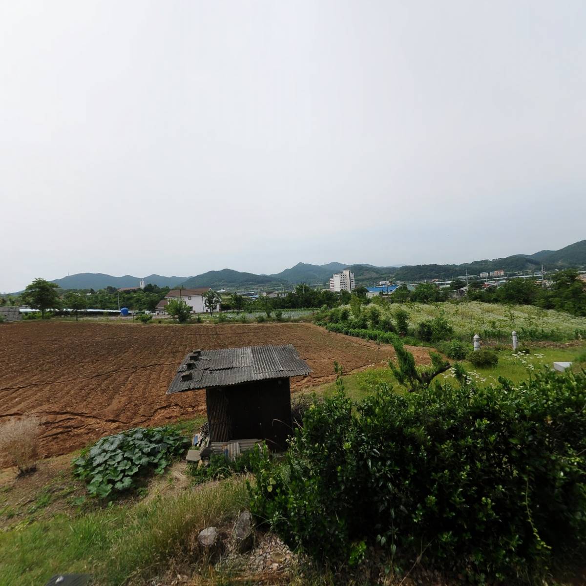 소망의집