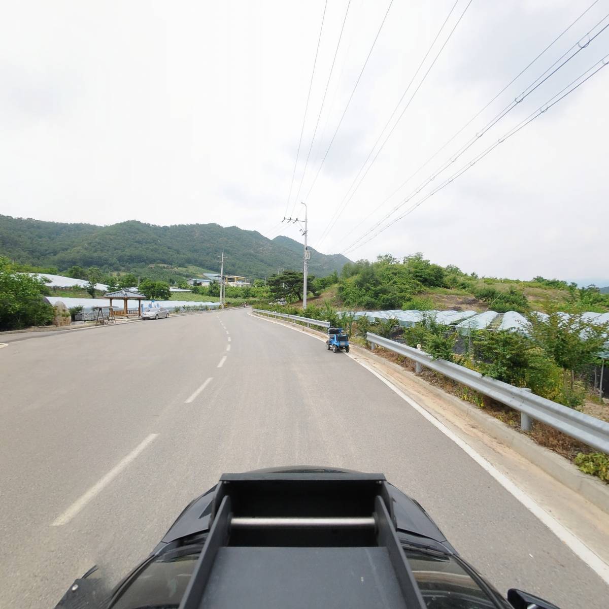 원골농원_4