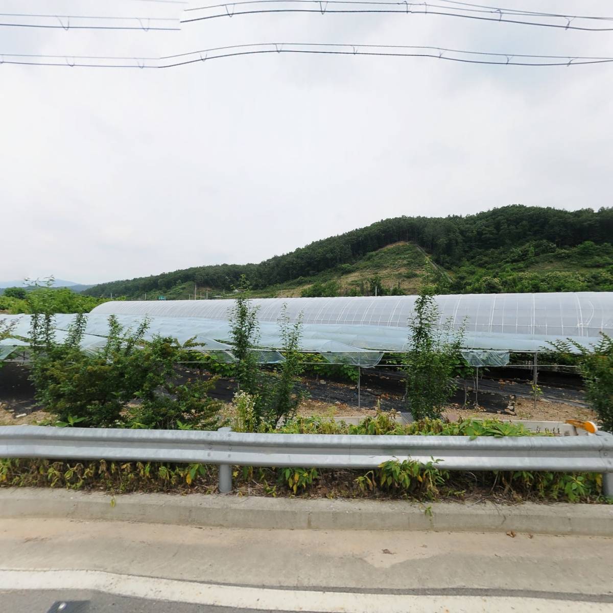 원골농원