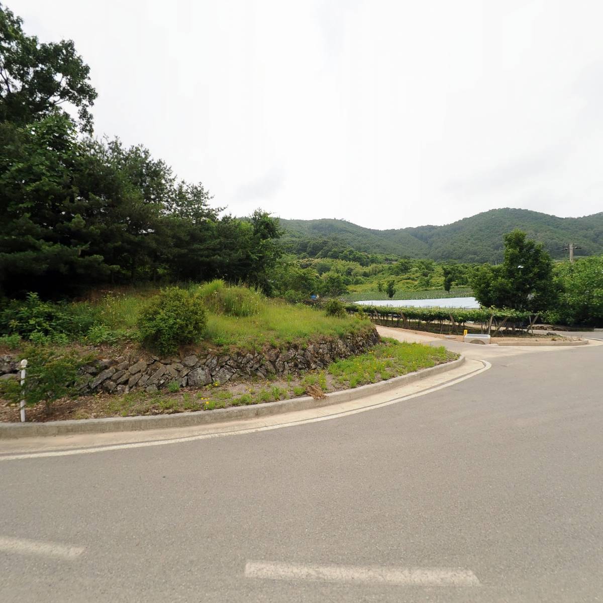 원골농원_3