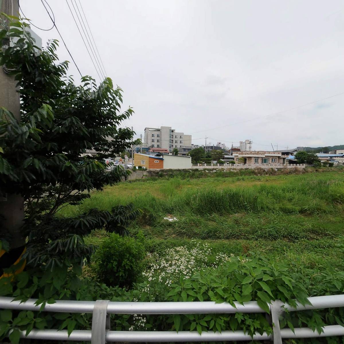 참치병장