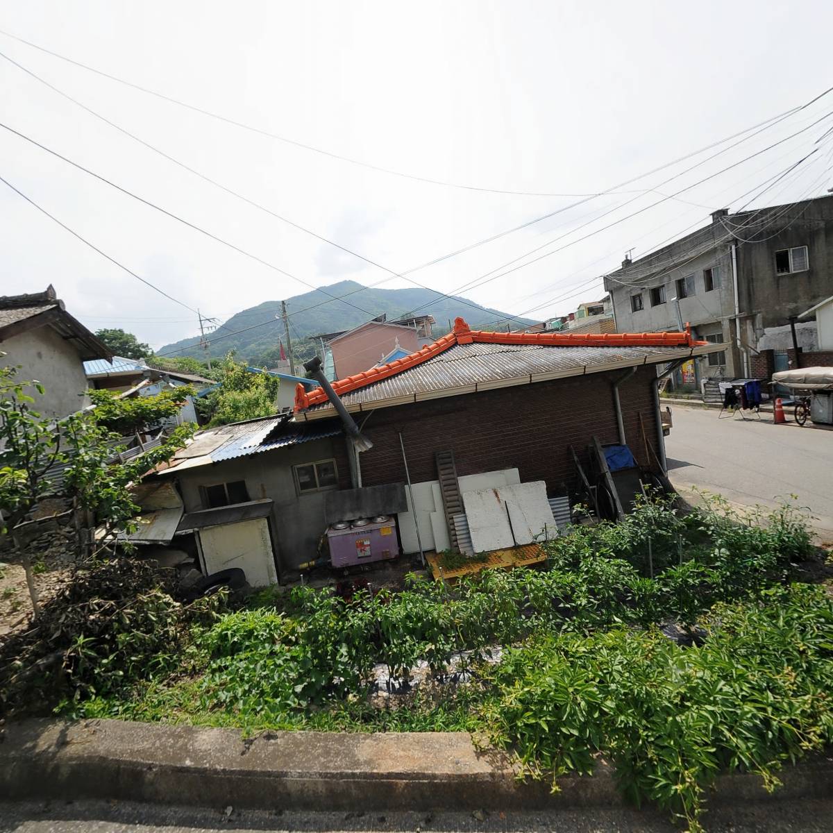 수산초중학교후원회