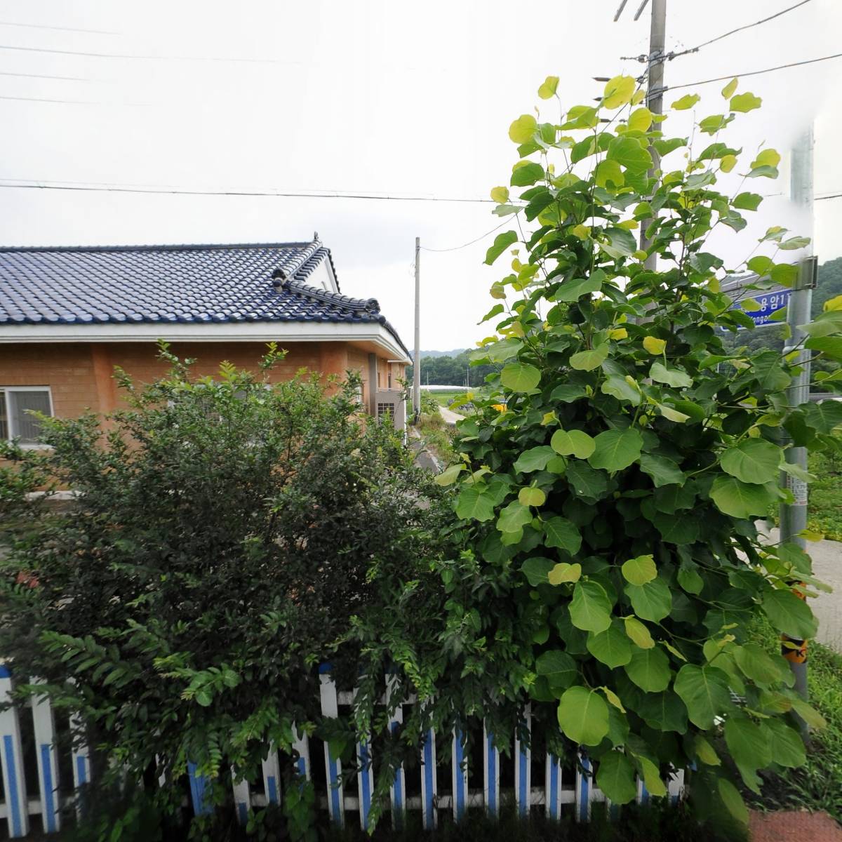 농업회사법인 애니실크(주)