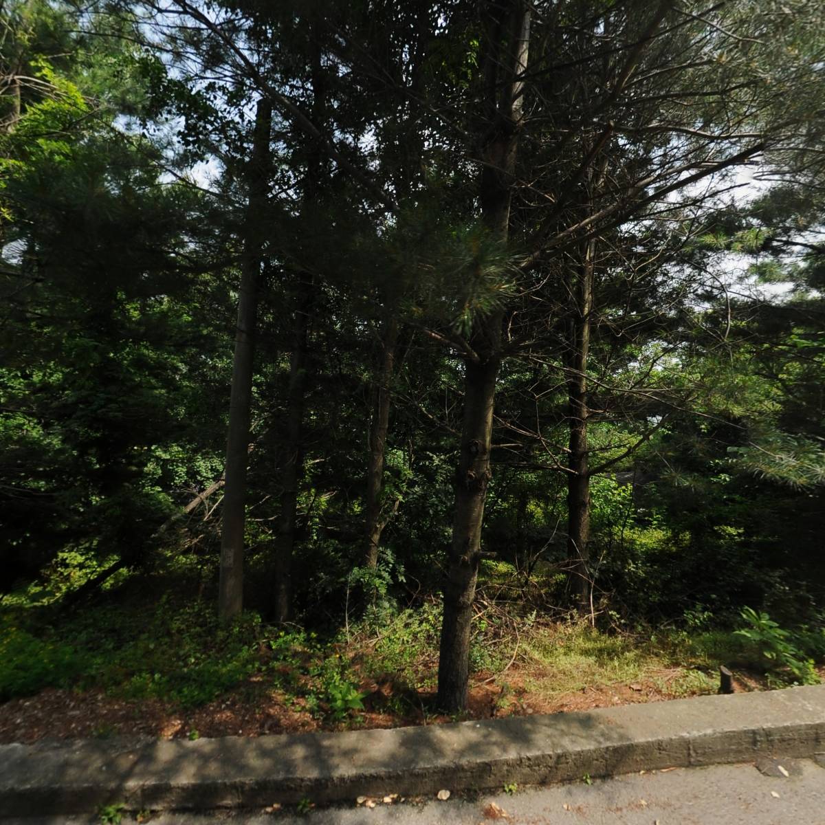 사회복지법인 세광재단_3