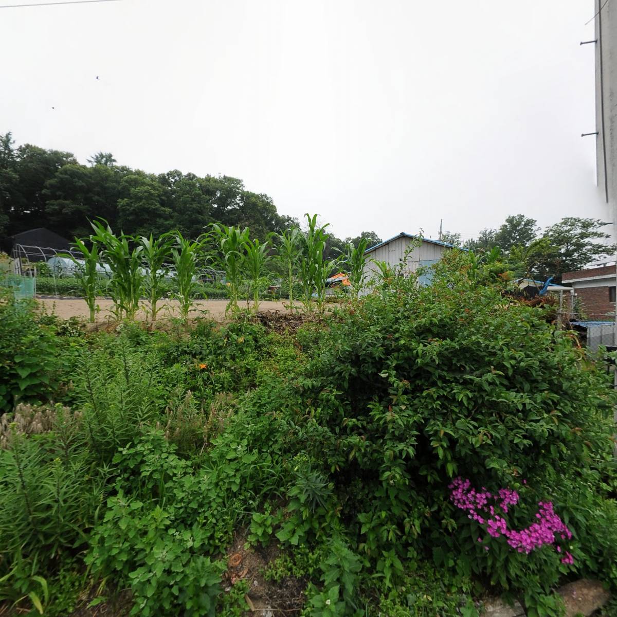 주식회사 백암
