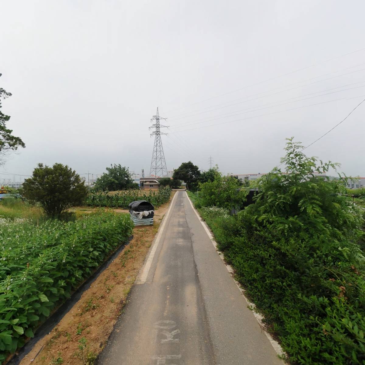 대성정비모터스_2