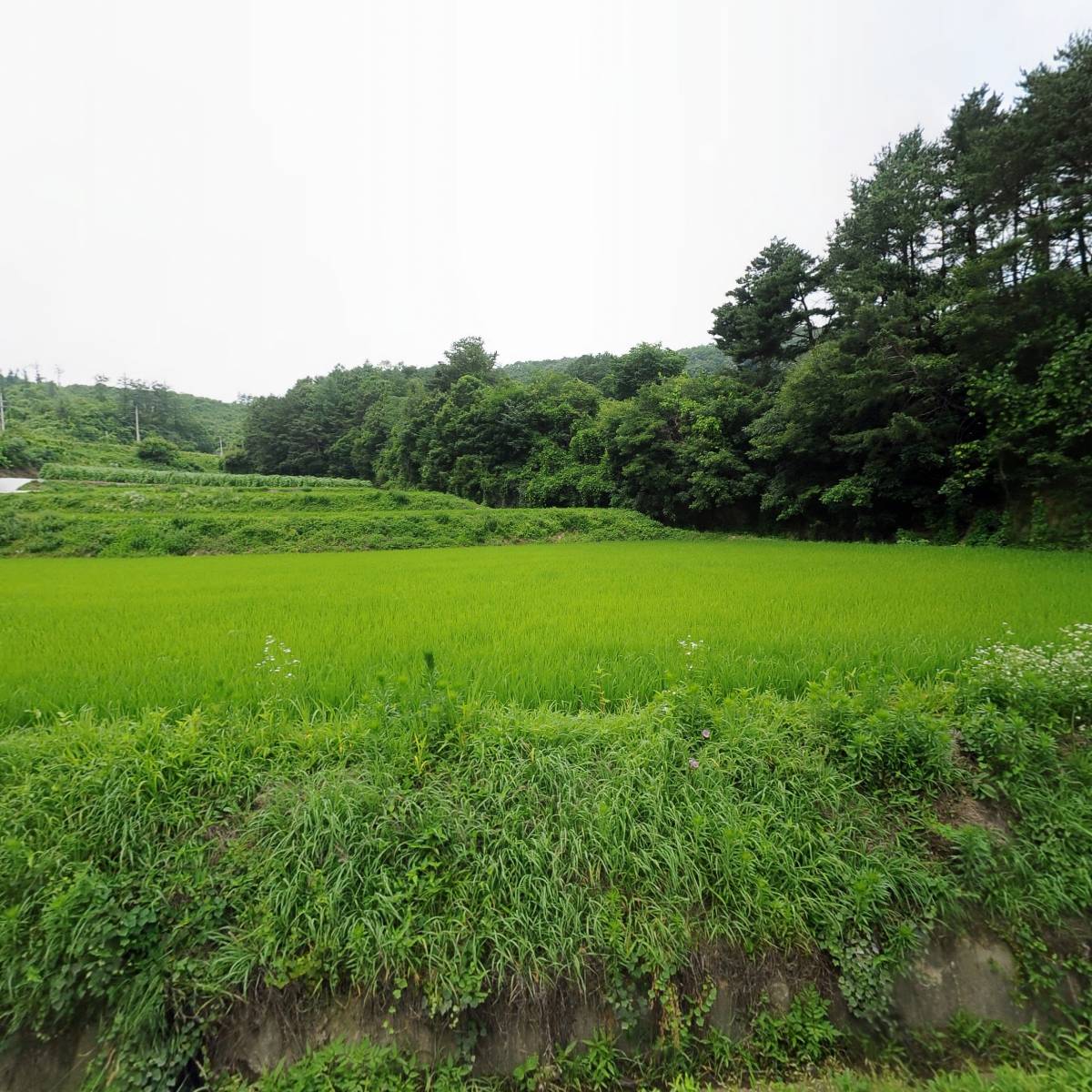 활산산촌생태마을영농조합법인