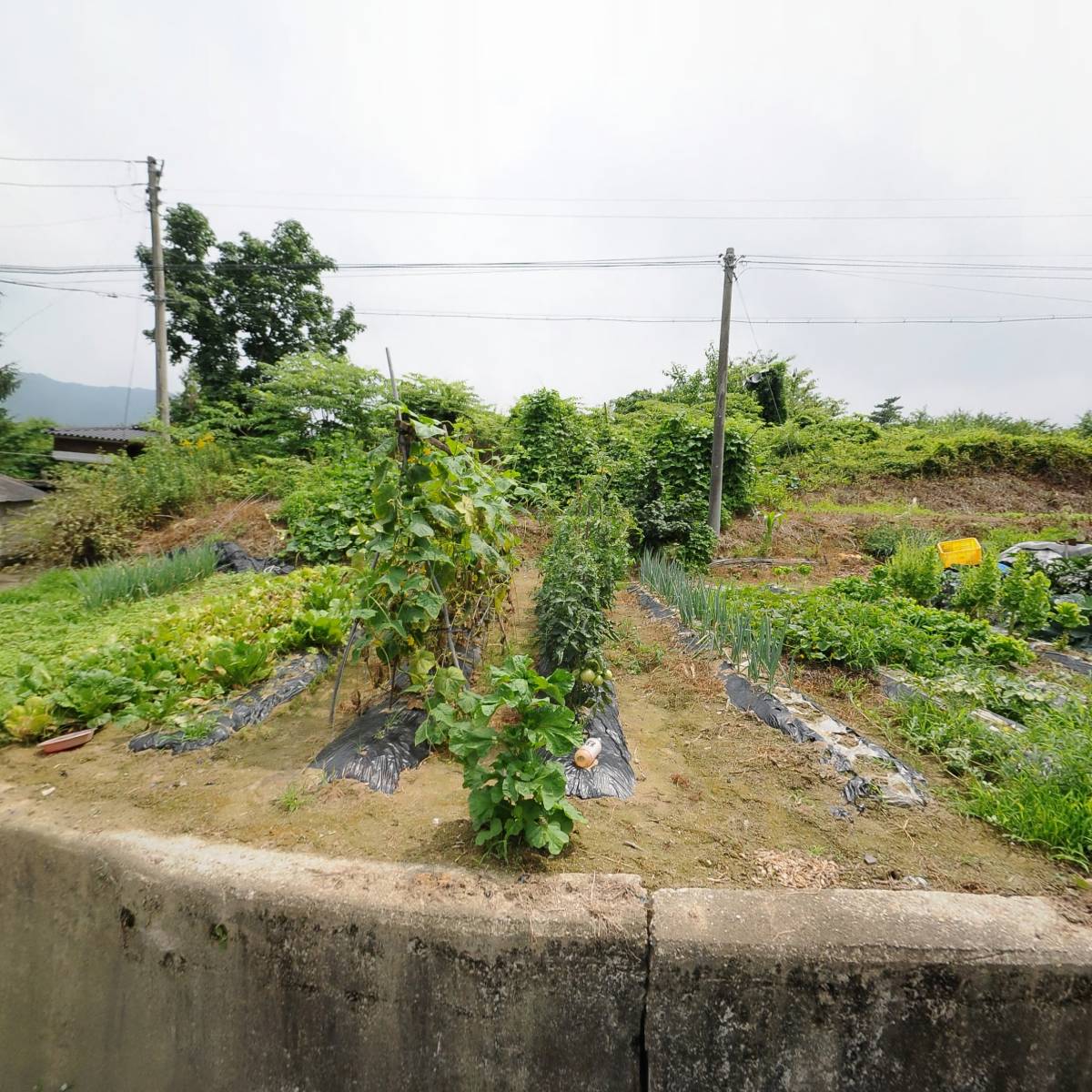 충청건기