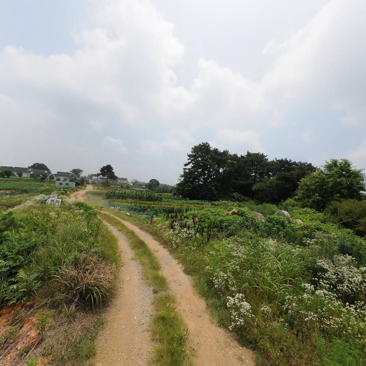 상우레이저_2