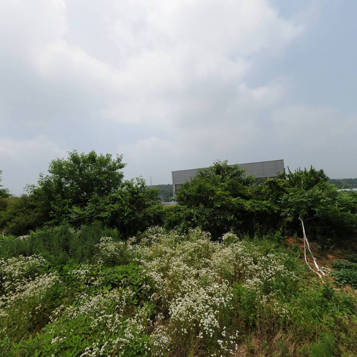 상우레이저_3